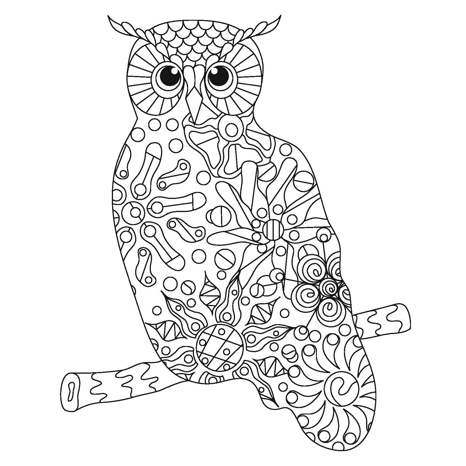 Alaskan Wildlife Coloring Pages